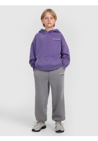 4f - 4F Bluza dresowa nierozpinana z kapturem chłopięca - fioletowa 158 (12-13 lat). Okazja: na co dzień. Typ kołnierza: kaptur. Kolor: fioletowy. Materiał: dresówka. Wzór: gładki, ze splotem. Sezon: lato. Styl: sportowy, klasyczny, casual, vintage #2
