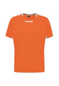 Koszulka sportowa z krótkim rękawem męska Hummel Core Team Jersey S/S. Kolor: pomarańczowy, wielokolorowy, żółty, czarny. Materiał: jersey. Długość rękawa: krótki rękaw. Długość: krótkie