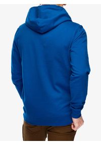 Bluza z kapturem męska Helly Hansen Nord Graphic Pullover Hoodie. Typ kołnierza: kaptur. Kolor: niebieski