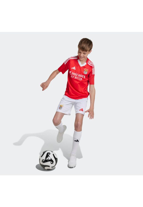Adidas - Koszulka piłkarska dla dzieci ADIDAS Benfica domowa sezon 24/25. Typ kołnierza: dekolt w kształcie V. Wzór: jodełka. Sport: piłka nożna