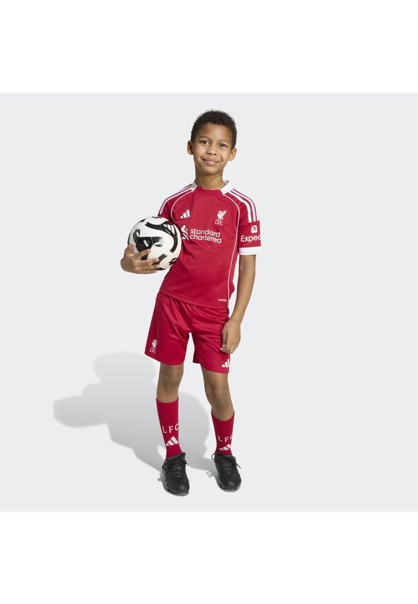 Adidas - Zestaw Liverpool FC 25/26 Home Mini Kids. Kolor: czerwony. Sezon: lato. Sport: piłka nożna