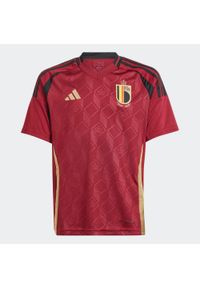 Adidas - Koszulka piłkarska dla dzieci ADIDAS Belgia EURO 2024 domowa. Kolor: czerwony. Wzór: geometria. Sport: piłka nożna