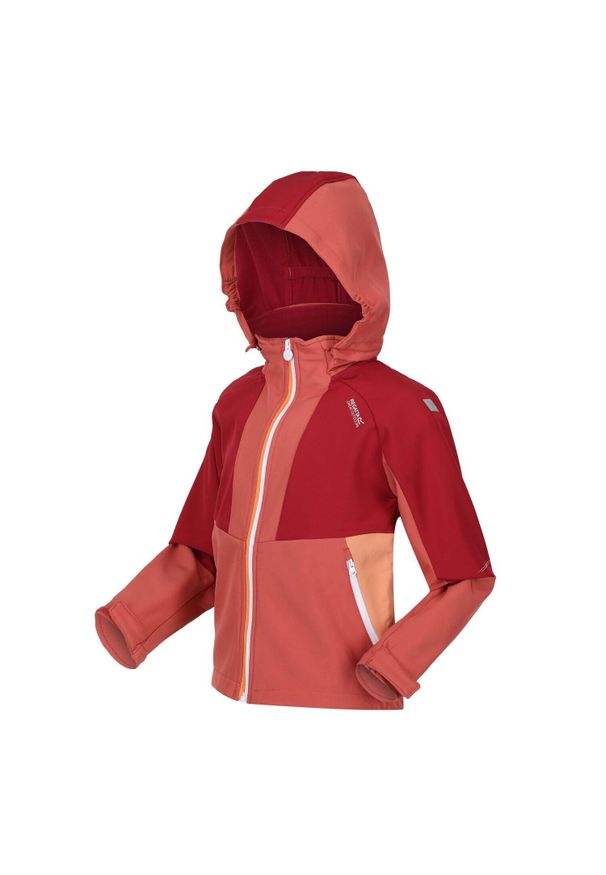 Kurtka trekkingowa dla dzieci Regatta Haydenbury. Typ kołnierza: kaptur. Kolor: różowy. Materiał: poliester. Styl: sportowy