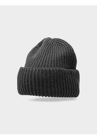 4f - 4F Czapka zimowa męska M. Kolor: szary. Sezon: zima #1