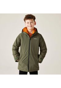 Regatta - Kurtka dziecięca przejściowa ocieplana Farbank II. Kolor: wielokolorowy, brązowy, zielony. Materiał: tkanina, puch. Styl: sportowy #1