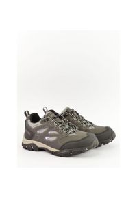 Buty trekkingowe damskie Holcombe IEP Low Regatta. Kolor: zielony