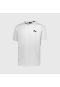 BEAR - Koszulka T-shirt Bear Small Logo biała. Kolor: biały. Sport: skateboard #1