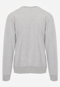 Born2be - Szara Bluza o Klasycznym Kroju z Bawełną Merinne. Okazja: na co dzień. Kolor: szary. Materiał: bawełna. Styl: klasyczny #8