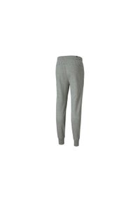 Puma Essentials Slim, Szary. Kolor: szary. Materiał: bawełna, materiał
