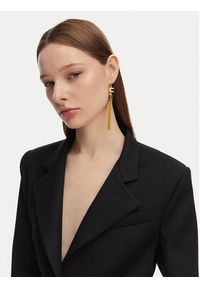 Elisabetta Franchi Kolczyki OR-50A-57E2-V260 Złoty. Materiał: metalowe. Kolor: złoty #3