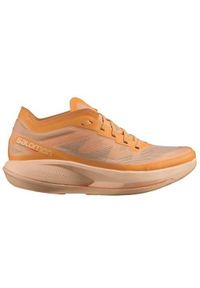 salomon - Buty do biegania damskie Salomon L41610500. Kolor: wielokolorowy. Sport: bieganie