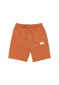 Quiksilver - Spodenki z elastyczną talią EASY DAY. Kolor: brązowy, beżowy, wielokolorowy. Materiał: poliester, bawełna, materiał. Długość: krótkie. Sezon: lato #1