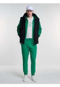 Big-Star - Spodnie męskie dresowe z lampasami zielone Smith 301/ Santo 301. Kolor: zielony. Materiał: dresówka. Wzór: nadruk #4