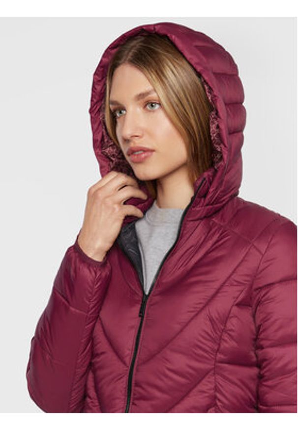 CMP Kurtka przejściowa 32K3036 Bordowy Regular Fit. Kolor: czerwony. Materiał: syntetyk