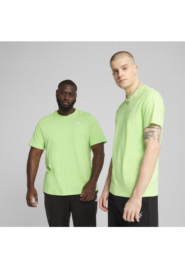 Puma - Męska koszulka Essentials z małym logo No. 1 PUMA Spring Fern Green. Kolor: zielony. Wzór: haft. Sport: fitness