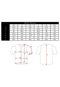 Silvini - Koszulka rowerowa (z krótkim rękawem) damska SILVINI Women Jersey MAZZANA. Kolor: różowy. Materiał: jersey. Długość rękawa: krótki rękaw. Długość: krótkie