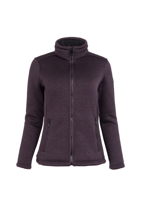 Regatta - Damski Polar Z Suwakiem Razia II. Kolor: fioletowy, wielokolorowy, czarny. Materiał: polar. Sezon: zima. Sport: turystyka piesza