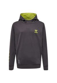 Dziecięca bawełniana bluza z kapturem Hummel Off-Grid. Typ kołnierza: kaptur. Kolor: szary. Materiał: bawełna. Sport: joga i pilates #1