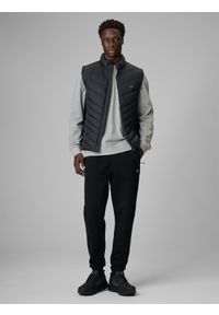 4f - 4F Longsleeve regular gładki męski - szary S. Okazja: na co dzień. Kolor: szary. Materiał: materiał. Długość rękawa: długi rękaw. Wzór: gładki. Styl: casual #2