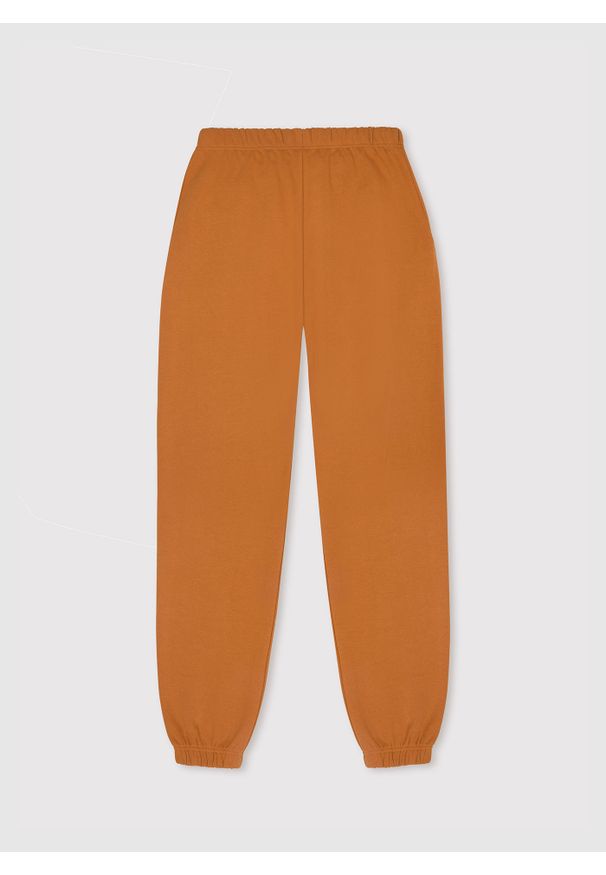 Pako Lorente - Spodnie dresowe pomarańczowe C22WF-WD-001-A-0. Okazja: na co dzień. Kolor: pomarańczowy. Materiał: dresówka. Styl: casual