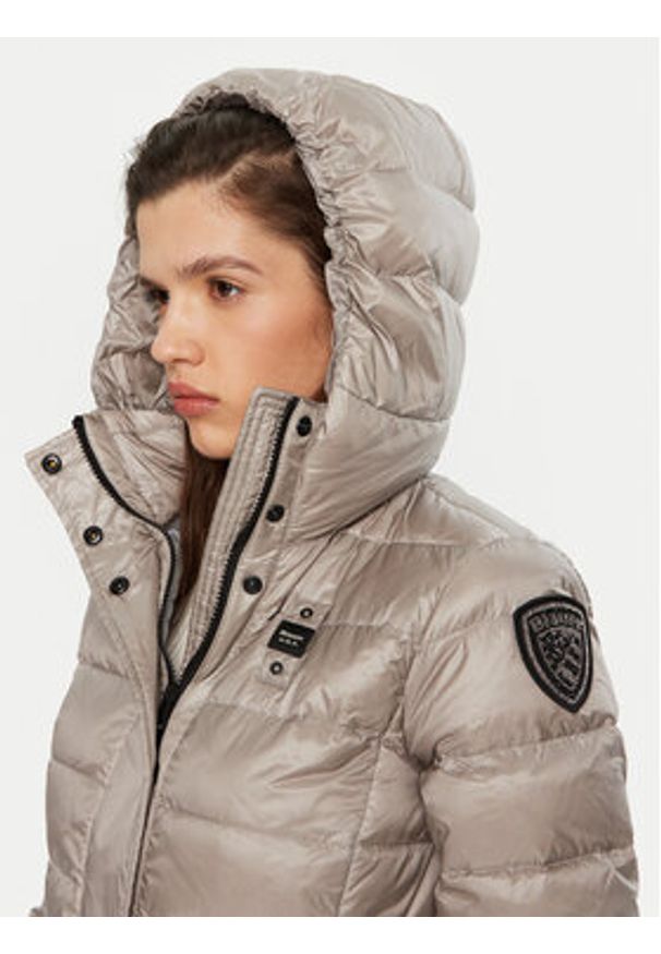 Blauer Płaszcz zimowy 24WBLDK03040 Srebrny Regular Fit. Kolor: srebrny. Materiał: syntetyk. Sezon: zima