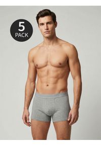 Sinsay - Bokserki 5 pack - wielobarwny #1
