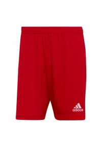 Adidas - Spodenki piłkarskie męskie adidas Entrada 22. Kolor: czerwony. Materiał: poliester. Sport: piłka nożna
