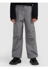 4f - 4F Spodnie dresowe joggery chłopięce - szare 158 (12-13 lat). Okazja: na spacer, na co dzień, na uczelnię. Kolor: szary. Materiał: dresówka. Długość: długie. Sezon: lato. Styl: casual #2