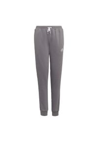 Adidas - Entrada 22 Sweat Pants. Kolor: szary. Materiał: polar, dresówka