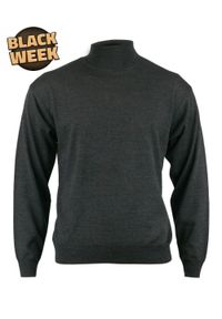 Golf Szary, Grafitowy, Ciemny, Klasyczny, Wełna Merynosa - MM Classic, Męski. Typ kołnierza: golf. Kolor: szary. Materiał: akryl, wełna. Styl: klasyczny #1