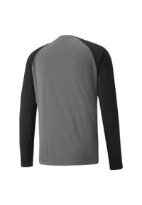 T-Shirt Puma Teampacer Gk Ls Jersey Dorosłych. Kolor: wielokolorowy, czarny, szary. Materiał: poliester. Długość rękawa: długi rękaw. Długość: długie. Sport: piłka nożna