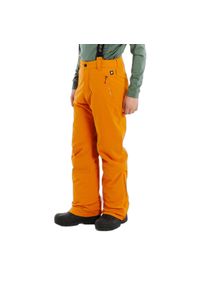 Dziecięce spodnie narciarskie Protest Spikety. Kolor: żółty. Sezon: zima. Sport: narciarstwo #1