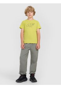 4f - 4F T-shirt regular z nadrukiem chłopięcy - czarny 134 (8-9 lat). Okazja: na co dzień. Kolor: żółty. Materiał: jersey, materiał, bawełna. Długość rękawa: krótki rękaw. Długość: krótkie. Wzór: nadruk. Sezon: lato. Styl: klasyczny, sportowy, casual
