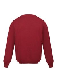 Regatta - Męski Sweter Z Dzianiny Kaelen. Kolor: czerwony. Materiał: dzianina. Styl: sportowy