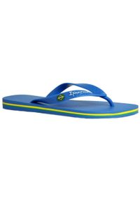 Ipanema Classic Brasil II AD męskie klapki, niebieskie, 43-44. Kolor: wielokolorowy, niebieski, żółty, zielony. Sezon: lato. Sport: pływanie #1