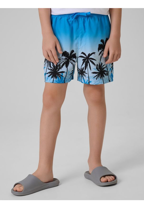 4f - 4F Spodenki plażowe boardshorty chłopięce - multikolor 158/164 (12-14 lat). Kolor: wielokolorowy