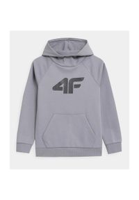 4f - odzież Dziecięce 4F. Kolor: szary #1