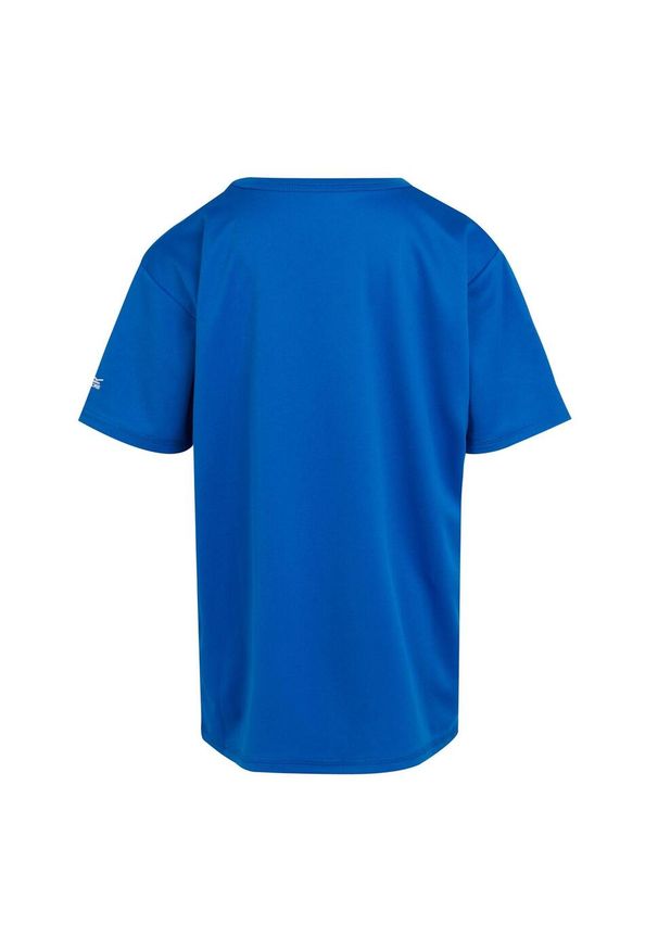 Regatta - T-shirt Dziecięca Z Górą Alvardo VIII. Kolor: szary, niebieski, wielokolorowy. Sport: turystyka piesza