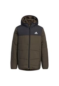 Adidas - Kurtka dziecięca adidas Padded Winter. Kolor: zielony