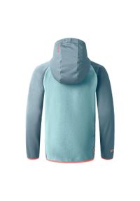DARE 2B - Kurtka Dziecięca Switch Out Padded Jacket. Kolor: niebieski, szary, wielokolorowy. Materiał: puch. Styl: sportowy