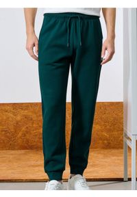 Sinsay - Spodnie dresowe - zielony. Kolor: zielony. Materiał: dresówka #1