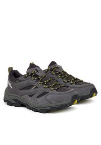 Jack Wolfskin Trekkingi Vojo Tour Texapore Low A62070 Szary. Kolor: szary. Materiał: skóra. Sport: turystyka piesza #6