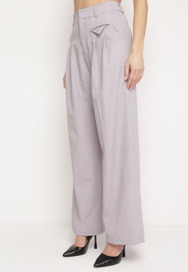 Born2be - Szare Eleganckie Spodnie w Garniturowym Stylu z Zakładkami Illthai. Kolor: szary. Styl: elegancki