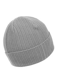 PITBULL - Czapka męska Pitbull zimowa Silvas Angel. Kolor: szary. Sezon: zima #2