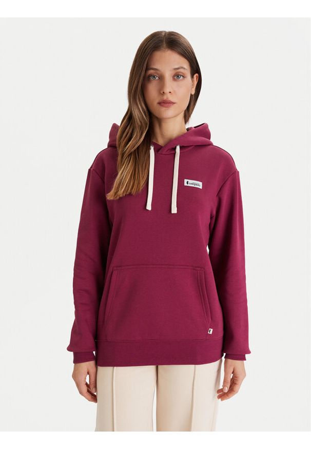 Cotopaxi Bluza Llama Patch Pullover Hoodie F24474W1160 Fioletowy Regular Fit. Kolor: fioletowy. Materiał: bawełna