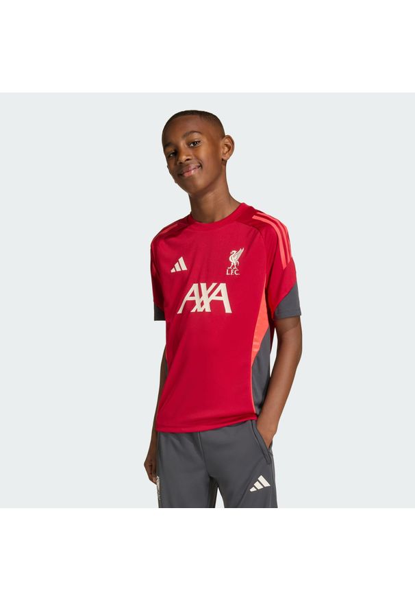 Adidas - Koszulka treningowa Liverpool FC Tiro 25 Competition. Kolor: czerwony. Sport: piłka nożna