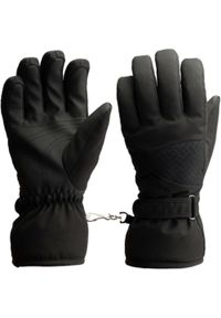 BLIZZARD - Damskie rękawice narciarskie Blizzard W2W Swift black. Kolor: czarny. Sezon: zima. Sport: narciarstwo #1