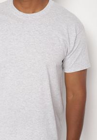 Born2be - Szara Bawełniana Koszulka T-shirt w Stylu Basic Malorisa. Okazja: na co dzień. Kolor: szary. Materiał: bawełna. Styl: klasyczny, casual, elegancki #7