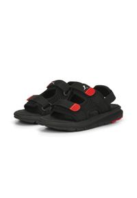 Sandały Chłopak Puma Evolve czarny. Kolor: czerwony, biały, wielokolorowy, czarny. Materiał: syntetyk, materiał. Styl: sportowy