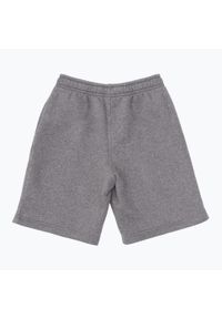 Spodenki dziecięce Nike Park 20 Short. Kolor: szary